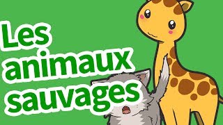 Les animaux sauvages