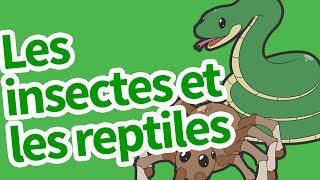 Les insectes et les reptiles