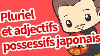Pluriel et adjectifs possessifs japonais